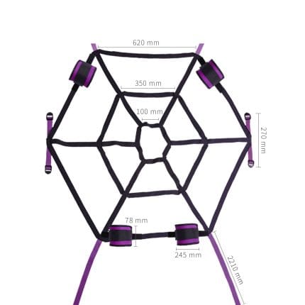 Spider Web Bed Restraint System