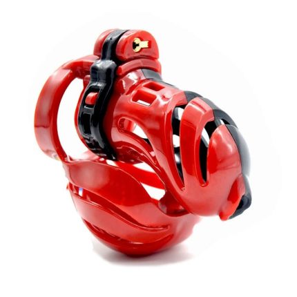 3D Chastity Lock