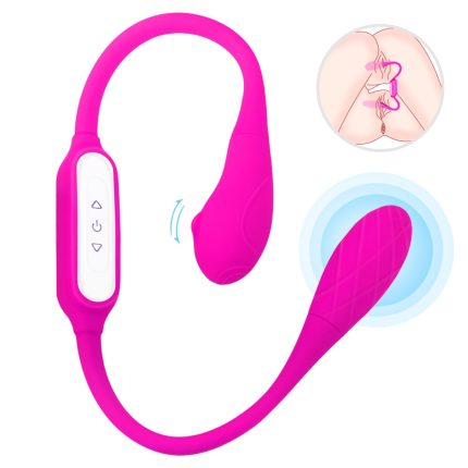 Dual Vibrator