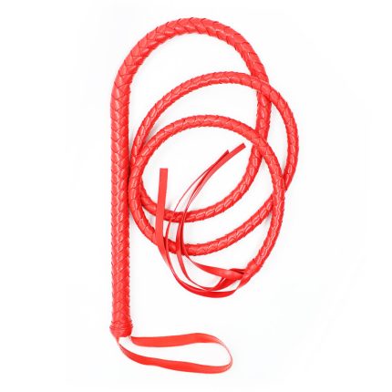 Leather Whip